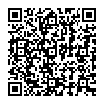 QR code linking to https://blog.afro.co.ke/constitution/chapter-12/part-2/article-206/consolidated-fund-and-other-public-funds/