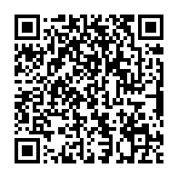 QR code linking to https://blog.afro.co.ke/constitution/chapter-11/part-2/article-176/county-governments/