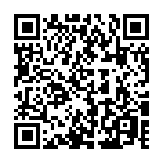 QR code linking to https://blog.afro.co.ke/constitution/chapter-4/part-3/article-53/children/