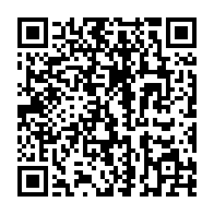 QR code linking to https://blog.afro.co.ke/constitution/chapter-13/part-2/article-236/protection-of-public-officers/